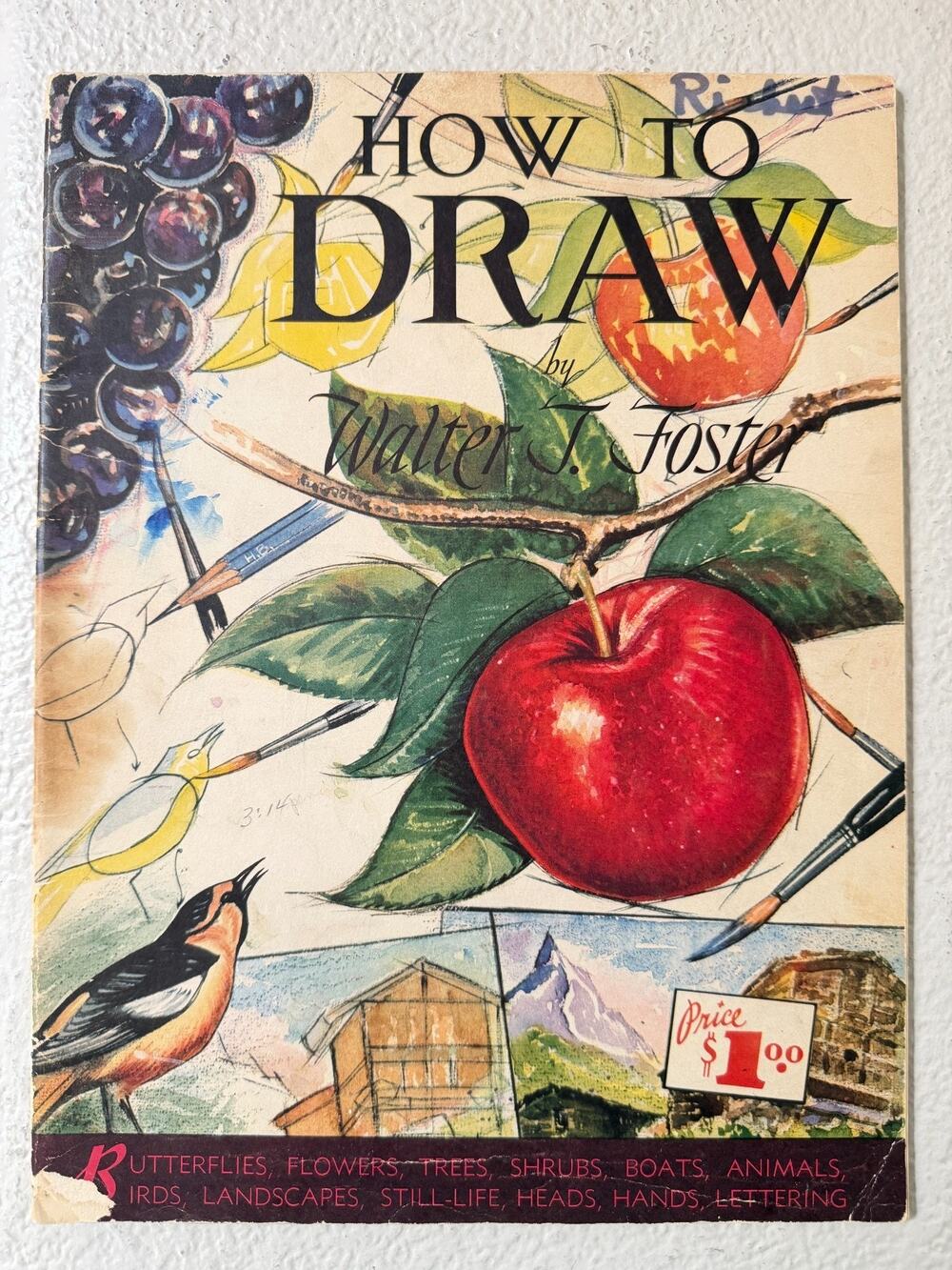 Vintage Walter Foster How to Draw Art Instruction Book Birds Lettering